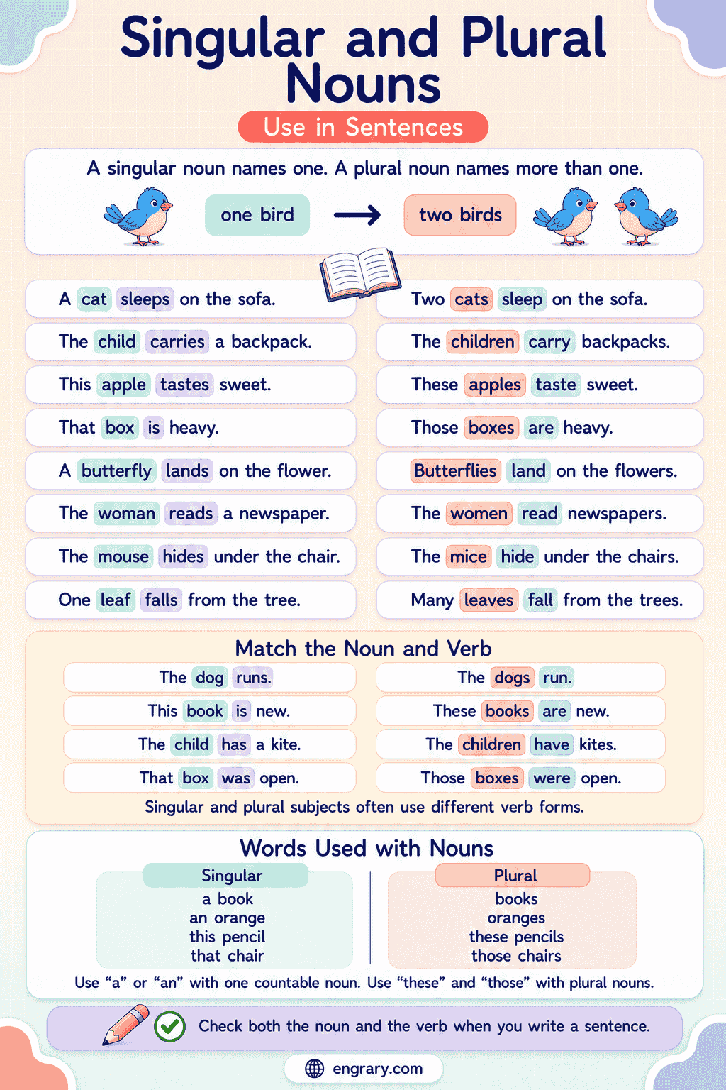 Singular and Plural Nouns Examples Sentences