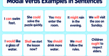 100 Modal Verbs Examples in Sentences with Pictures