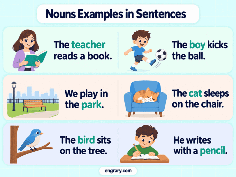 100+ Noun Examples in Sentences for Kids