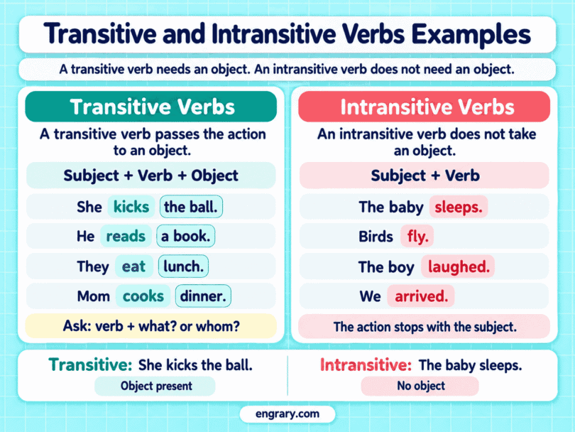 150 Transitive and Intransitive Verb Examples in Sentences