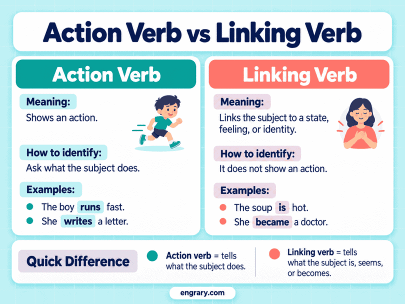 Action Verb vs Linking Verb: Differences and Examples