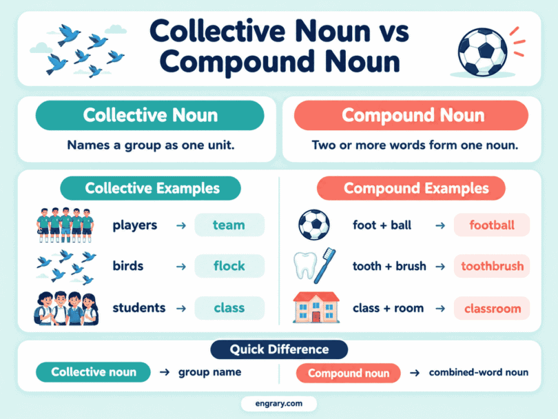 Collective Noun vs Compound Noun With Easy Examples
