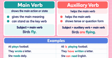 Main Verb vs Auxiliary Verb: Differences and Examples