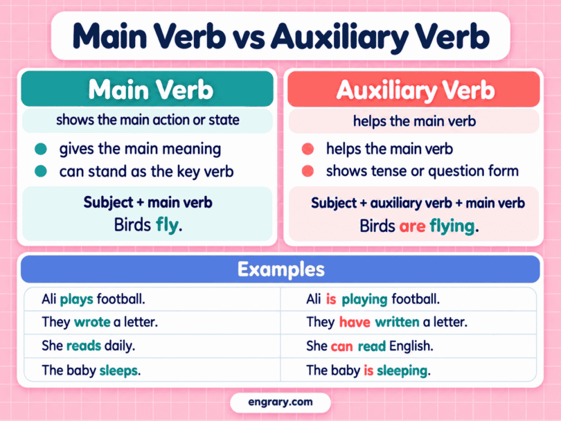 Main Verb vs Auxiliary Verb: Differences and Examples
