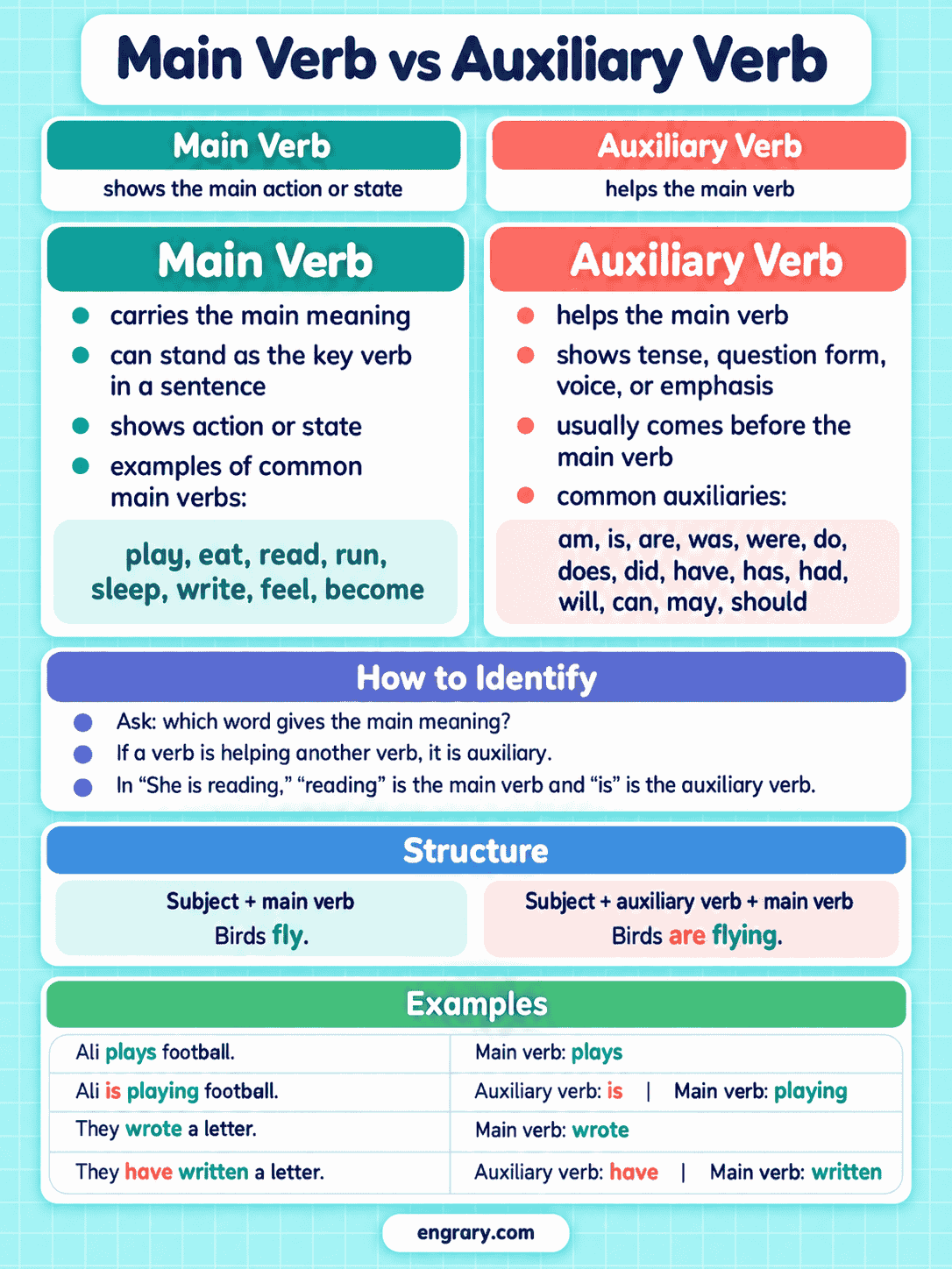 Main Verb vs Auxiliary Verb With Examples