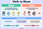 Verb vs Noun in English Grammar: Differences and Examples