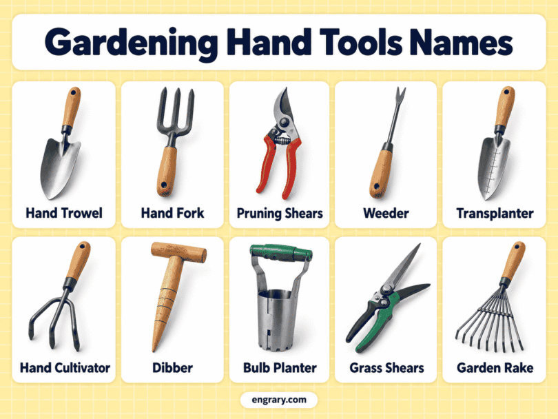 40 Garden Hand Tools with Names, Pictures and Uses