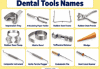 58 Dental Tools Names with Pictures and Uses