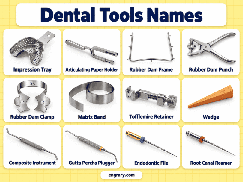 58 Dental Tools Names with Pictures and Uses