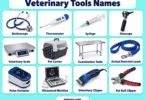 60 Veterinary Tools Names with Pictures and Uses