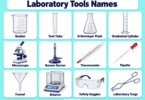 Common Lab Equipment Names with Pictures