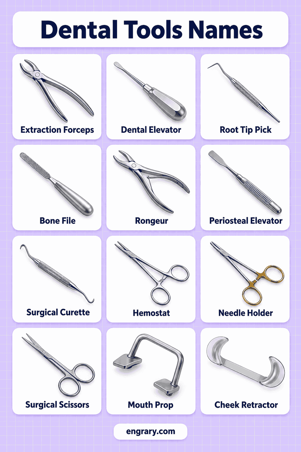 Dental Equipment and Instruments Names with Pictures