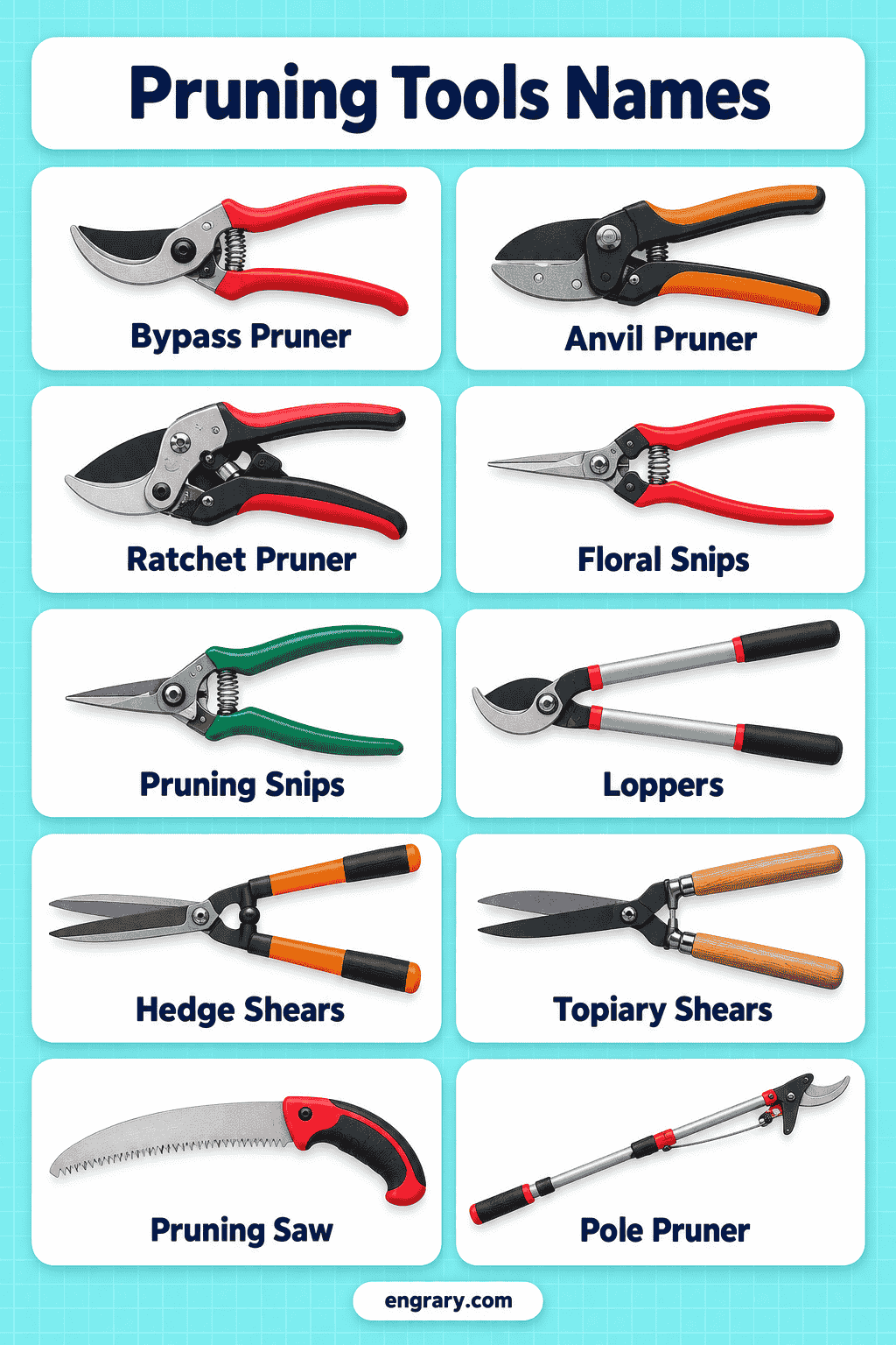 Pruning Tools List :35 Names with Pictures