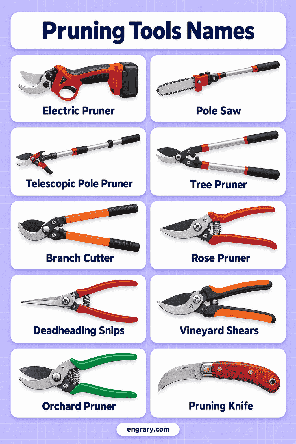 Pruning Tools Names with Pictures and Uses