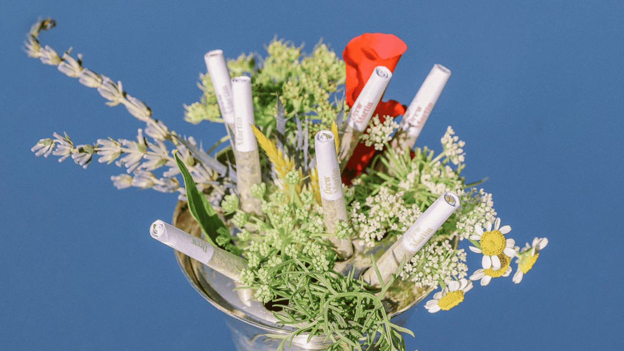 Drew Martin cannabis prerolls arranged like a flower bouquet on blue background