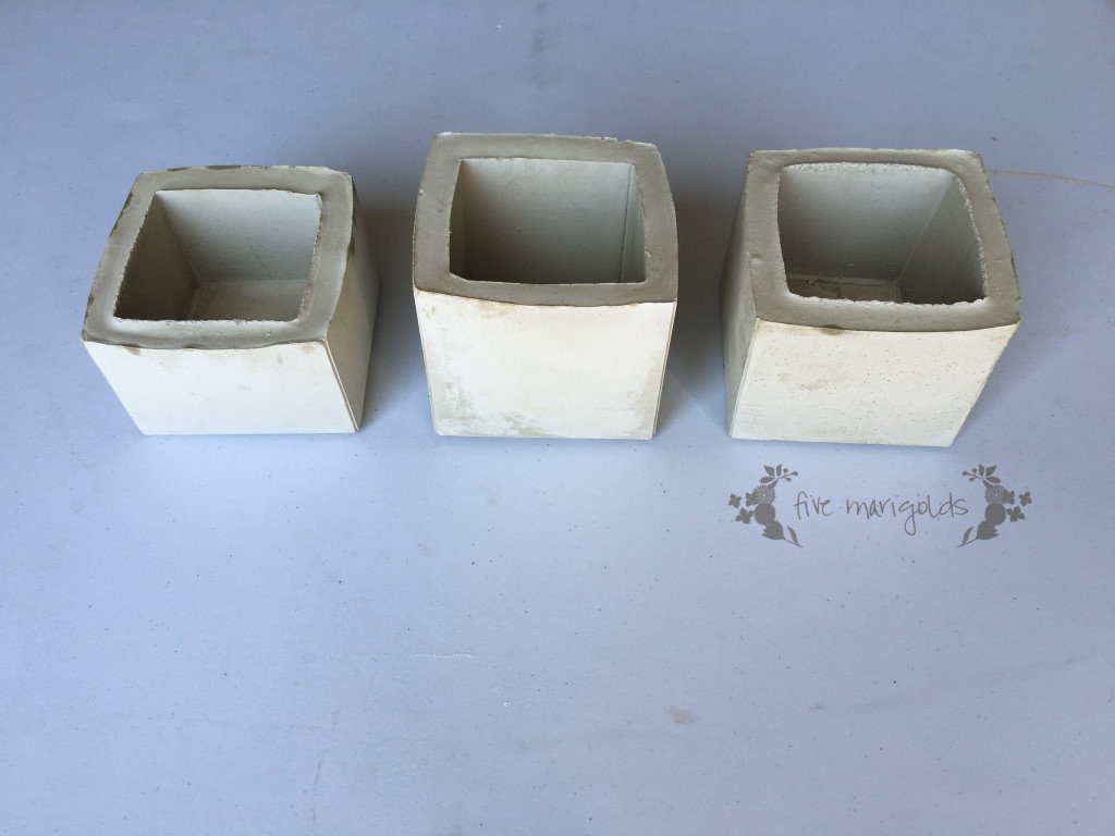 Cement Succulent Flower Pot Teacher Gift | Five Marigolds