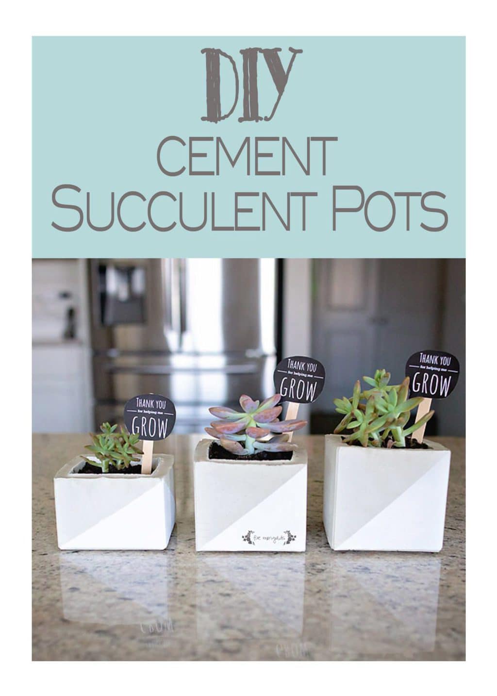 Cement Succulent Flower Pot Teacher Gift | Five Marigolds