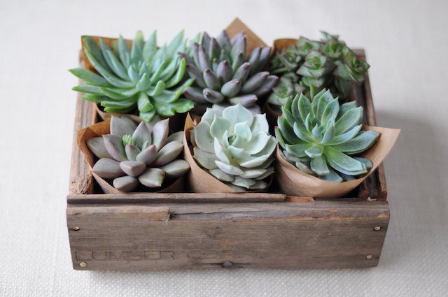 10 DIY Hostess Gifts that will get you invited back. | Five Marigolds