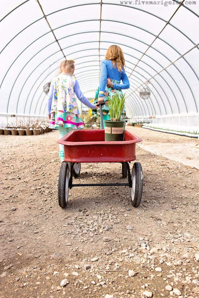 Building an 18-year Mother's Day Flower Garden | Five Marigolds #GrowBeautifully #Monrovia Plants #sponsored