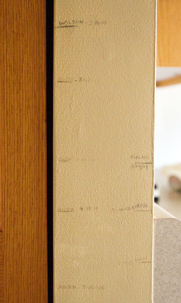 growth chart2