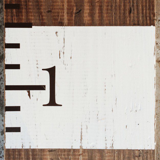 Family Growth Chart for Less Than $15 | Five Marigolds