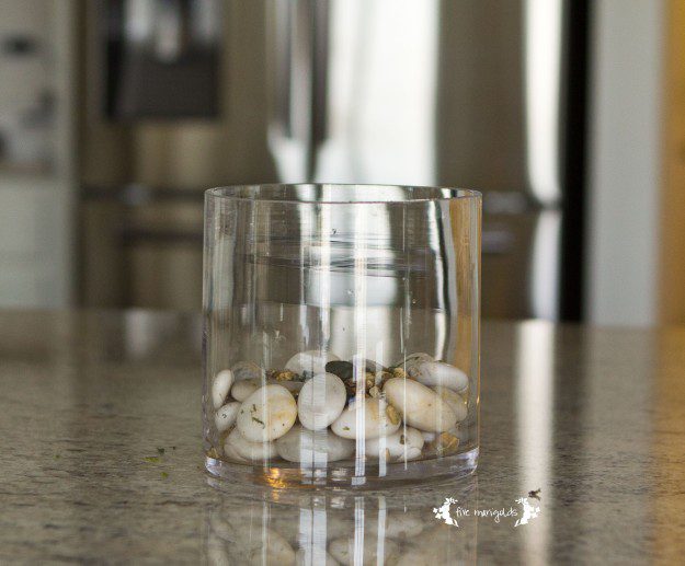 DIY Open Air Terrarium | Five Marigolds