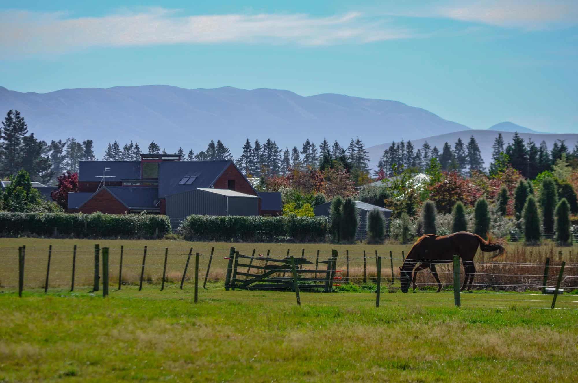 horse properties