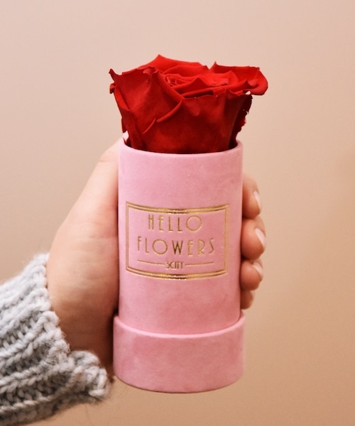Czerwona wieczna róża w mini różowym boxie | kwiaty w pudełku - flower box