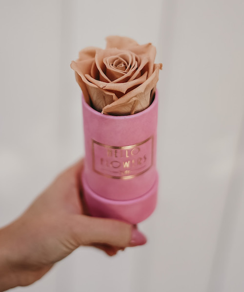 Beżowa wieczna róża w mini różowym boxie | kwiaty w pudełku - flower box