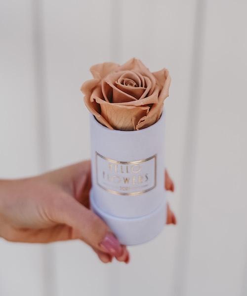 Beżowa wieczna róża w mini białym boxie | kwiaty w pudełku - flower box