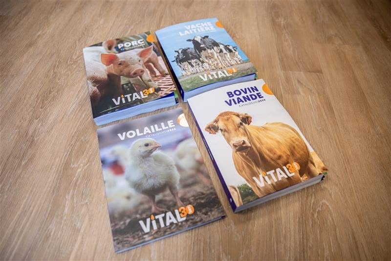 Vital Concept catalogue 2026