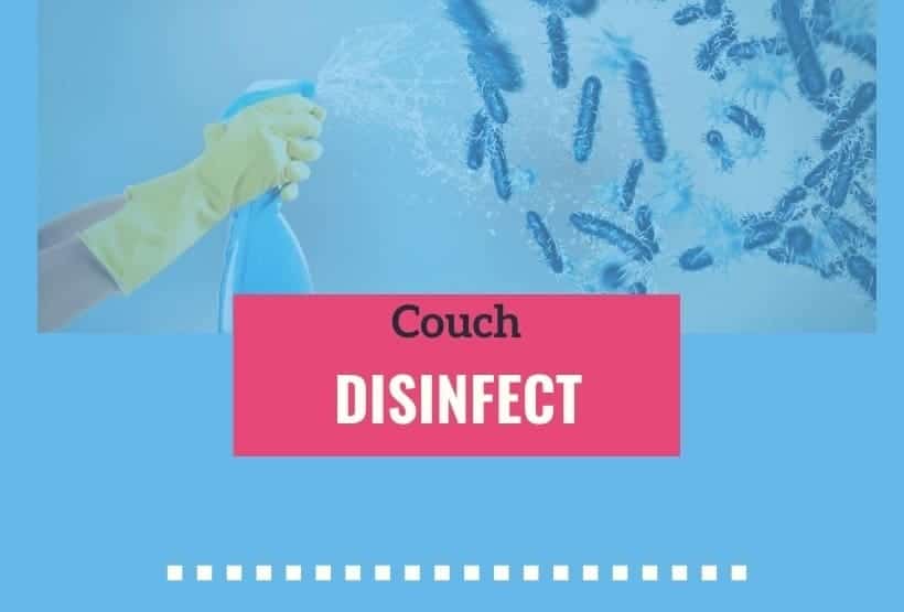 disinfect leather couch