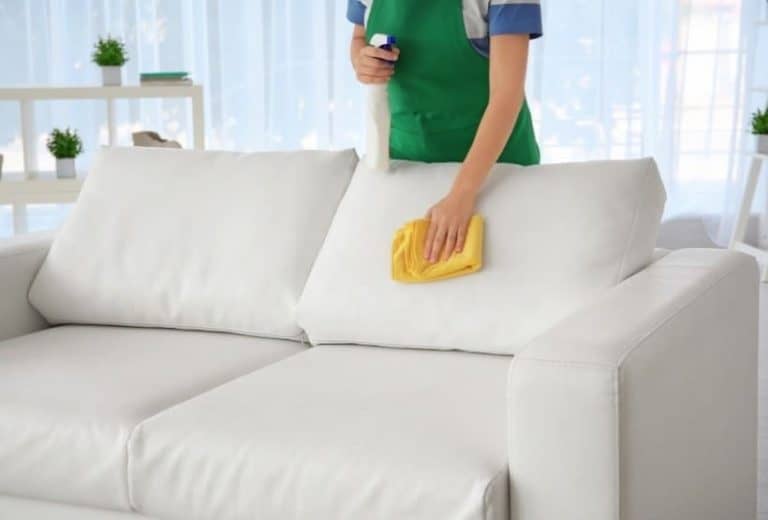 how to disinfect leather couch
