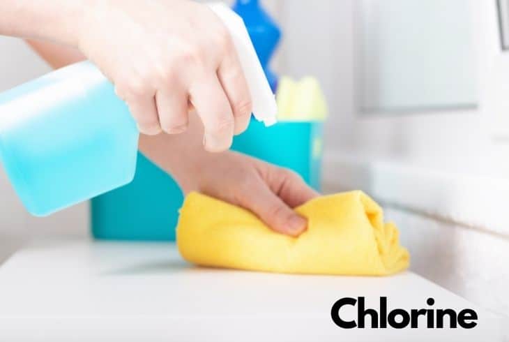 remove bed bugs stains chlorine