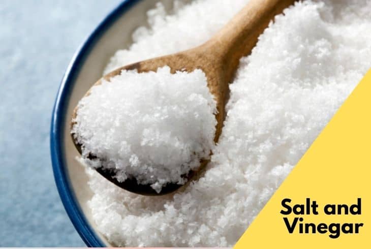 vinegar and salt for mattress