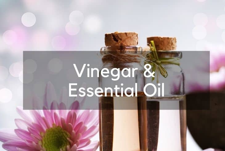 vinegar and essential oil