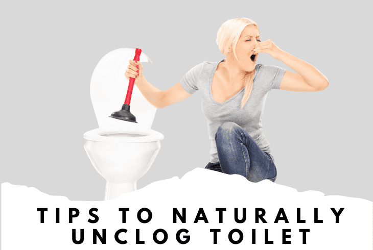 tips to naturally unclog your toilet