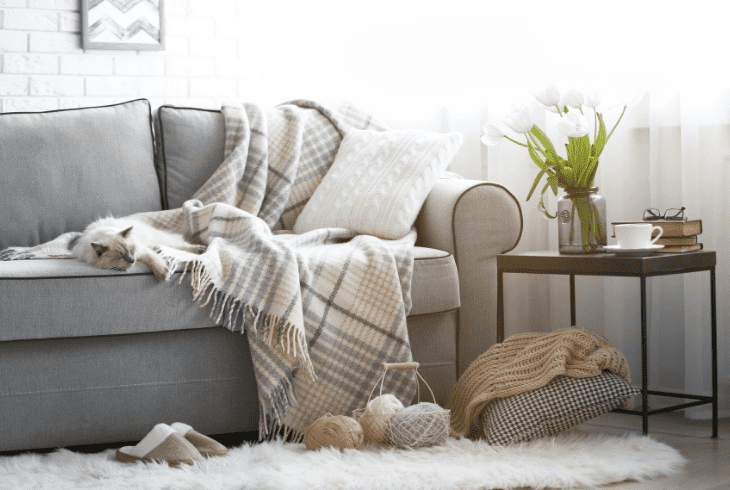 protect couch covers