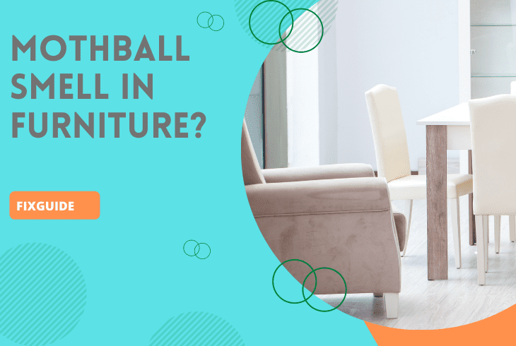how to get rid of mothball smell in furniture