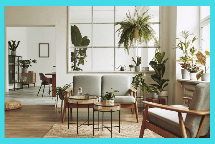 staging company