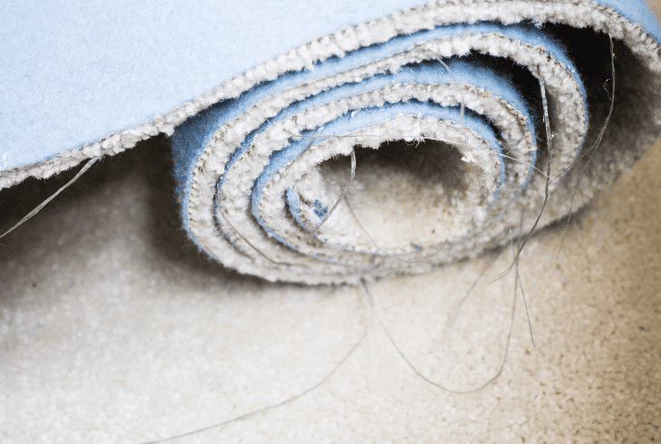 cut out carpet edges