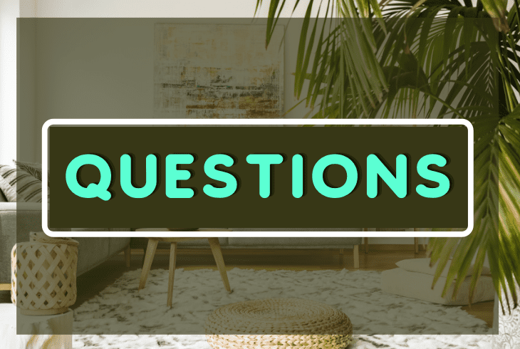 questions about grey couch