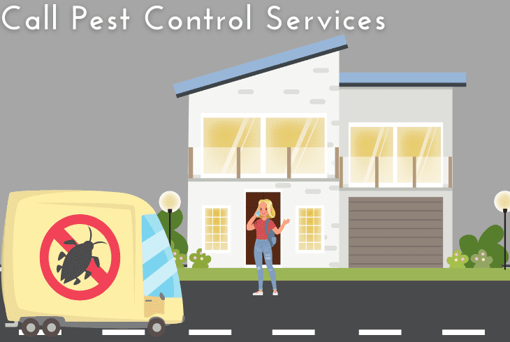 contact pest control