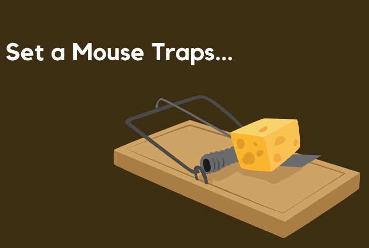set a mouse traps