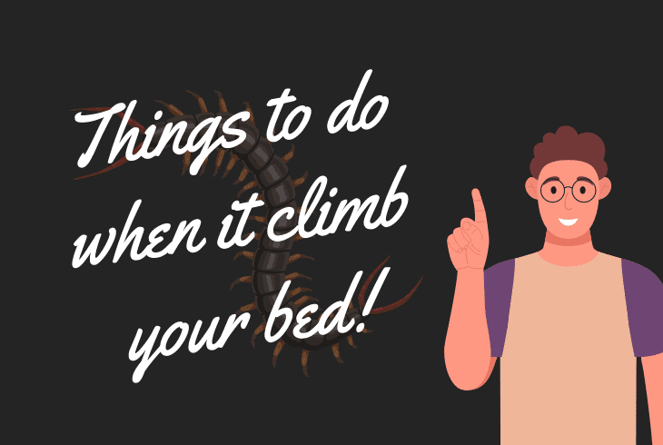 things to do