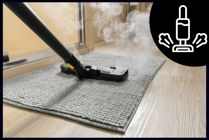 steam cleaner
