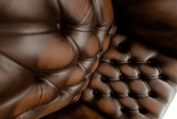 bedbugs live in leather couches