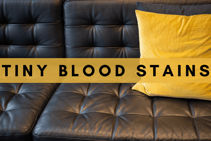 tiny bloodstains