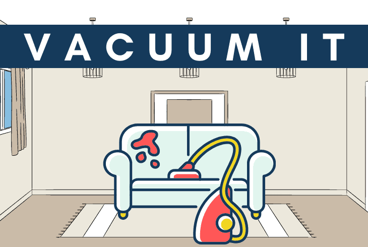 vacuum regularly