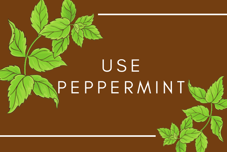 use a peppermint